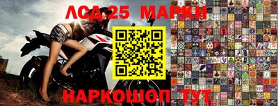шишки Будённовск