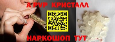 шишки Будённовск