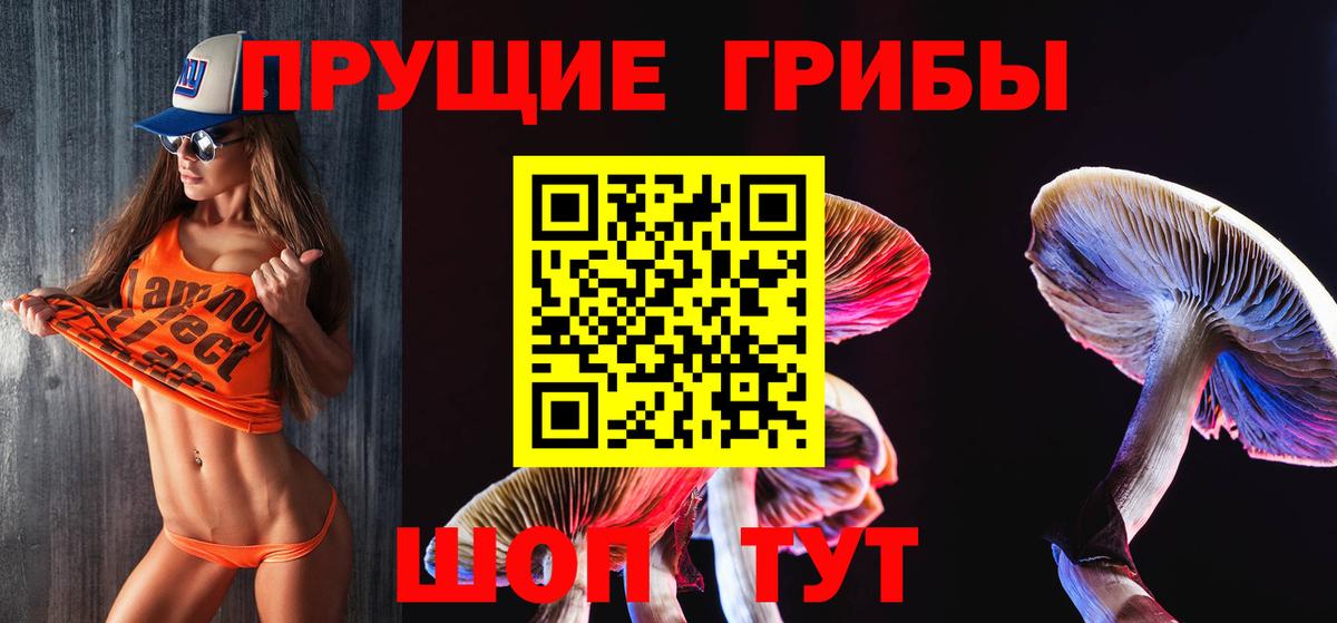 Галлюциногенные грибы прущие грибы Петрозаводск
